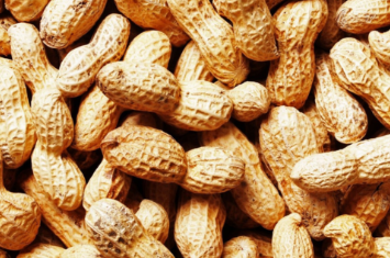 Ground Nut- Peanut